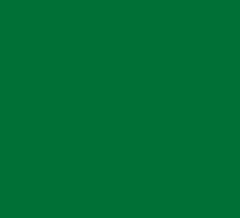 Зеленый Оксид 9561 BS
